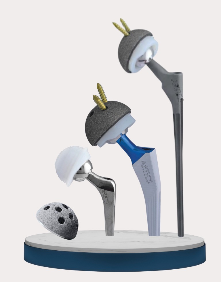 Hip Replacement system